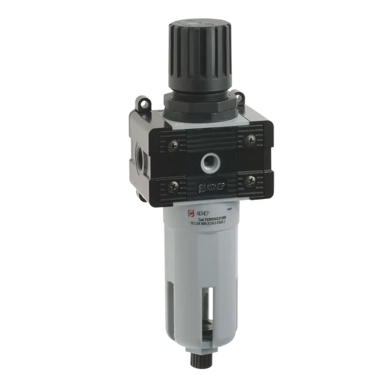 20 mikron 8 bar (A-2) G3/8" AM Szűrő-szabályzó - PASA23808A0000