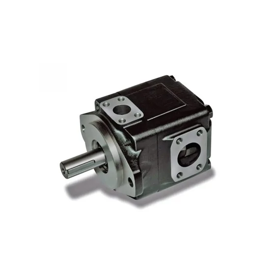 T6C B10 1R00B1 Lapátos szivattyú - HPLFT6CB101R