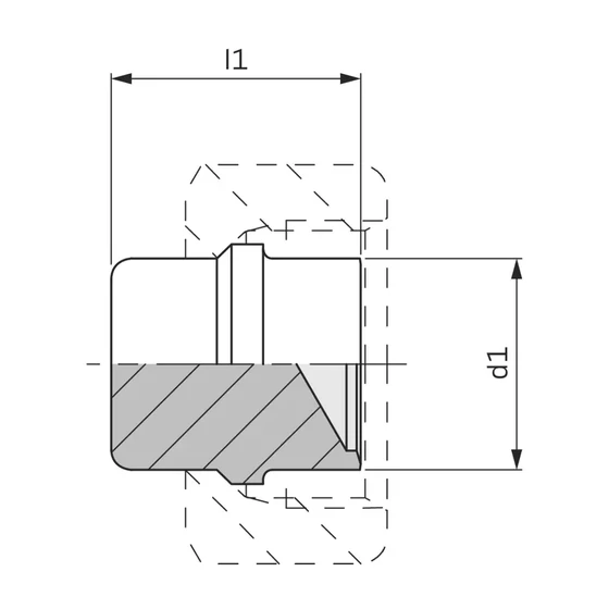 Picture 2/2 -Blanking Plug - BUZ 15-L