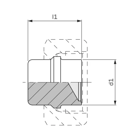 Picture 2/2 -Blanking Plug - BUZ 14-S