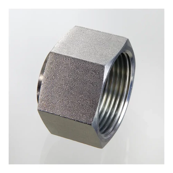 Picture 1/2 -Blanking Plug - (VKA-UNF) - ORFS 11/16"-16