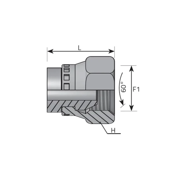 Tube Coupling (VKAM-BSP) - ATFG02 - G1/8"
