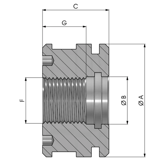 Kép 3/3 - Dugattyú menetes GER - PFG 050 1615 C=30 M16×1.5