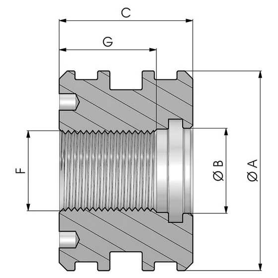 Kép 3/3 - Dugattyú menetes PDH - PF PDH 075 24 C=38 M24×1.5