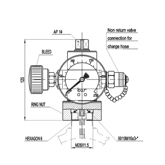 Picture 2/2 -Hydroaccumulator charging kit - PC 250 S3