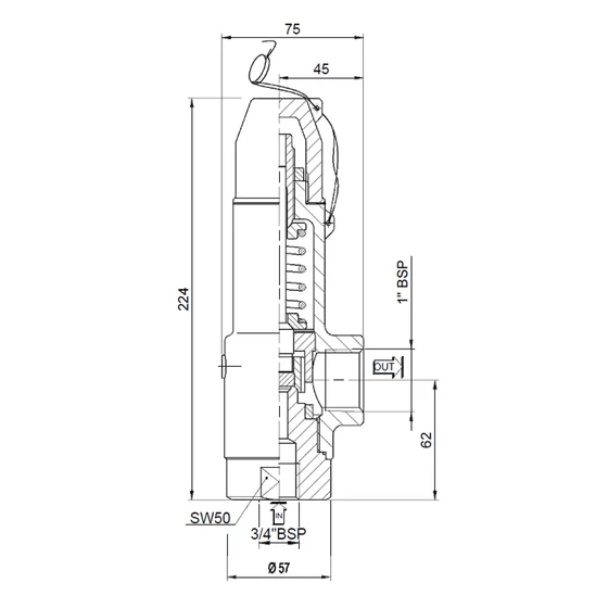 Picture 2/2 -Hydroaccumulator safety valve - VS214/250 - 3/4" in - 1" out