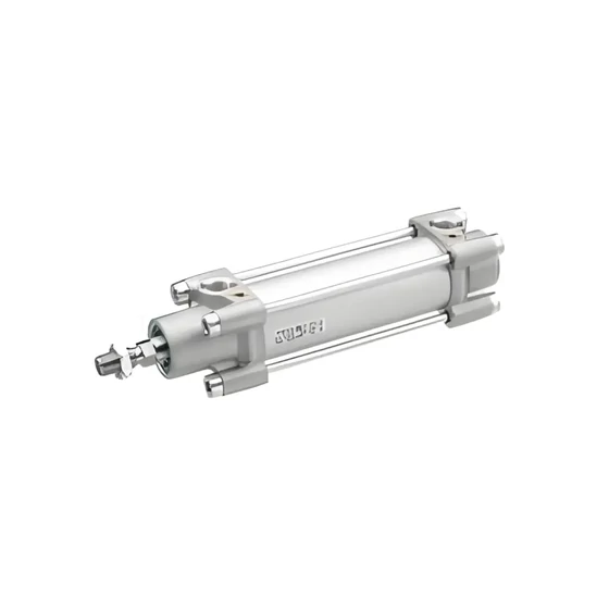 Pneumatic cylinder - TRB-DA-063-0700-0-2-2-1-1-1-BAS