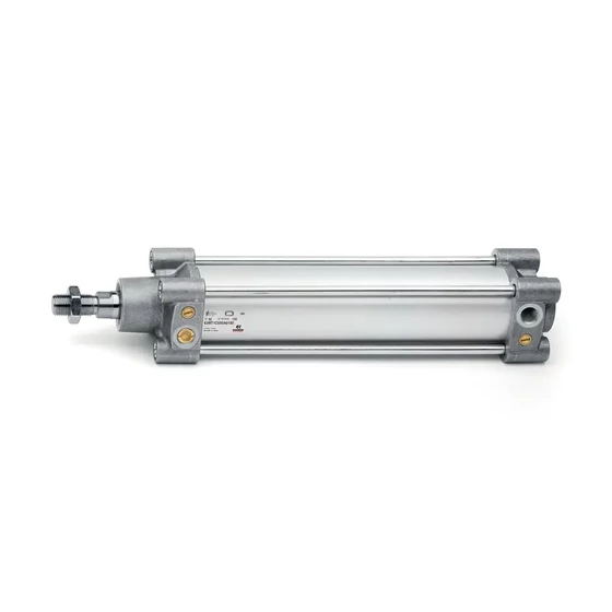Picture 1/3 -Pneumatic cylinder - 63MT1R063A0075