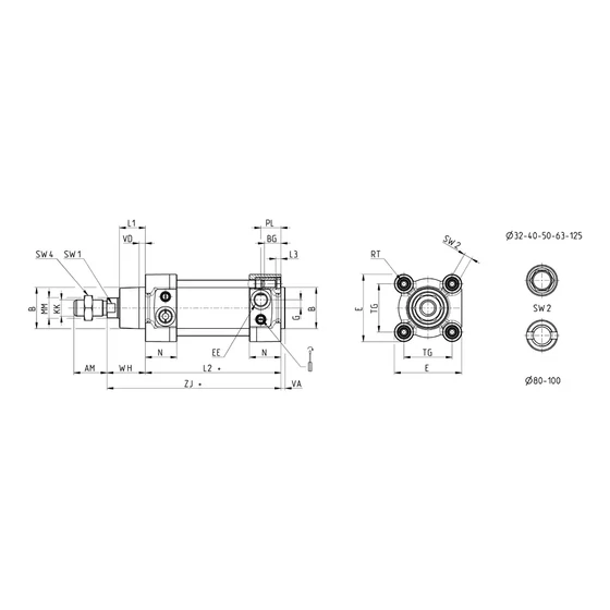 Picture 2/3 -Pneumatic cylinder - 63MT1R063A0075