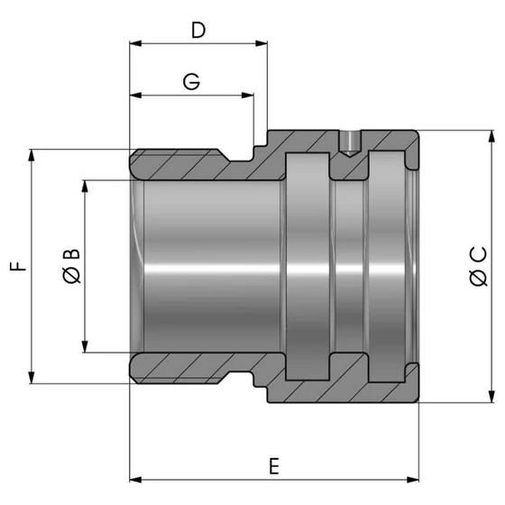 Picture 2/2 -Plunger head H type - NBTTH0200300