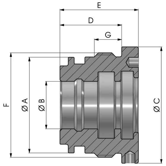 Picture 2/2 -Head short - NBTB008007035