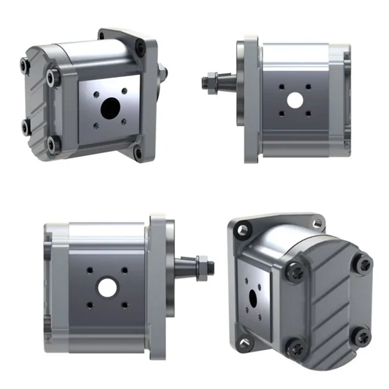 Picture 2/3 -Gearpump - AZPJ-22-014RCB20MB