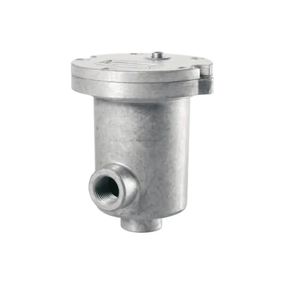 Kép 1/3 - Szűrő komplett visszafolyóági - AFR60C25NR - G3/4" - 25mikr.