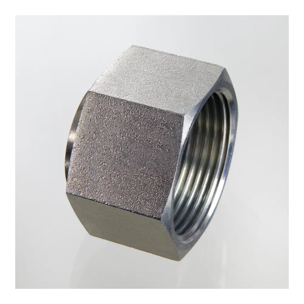 Blanking Plug - (VKA-UNF) - ORFS 11/16