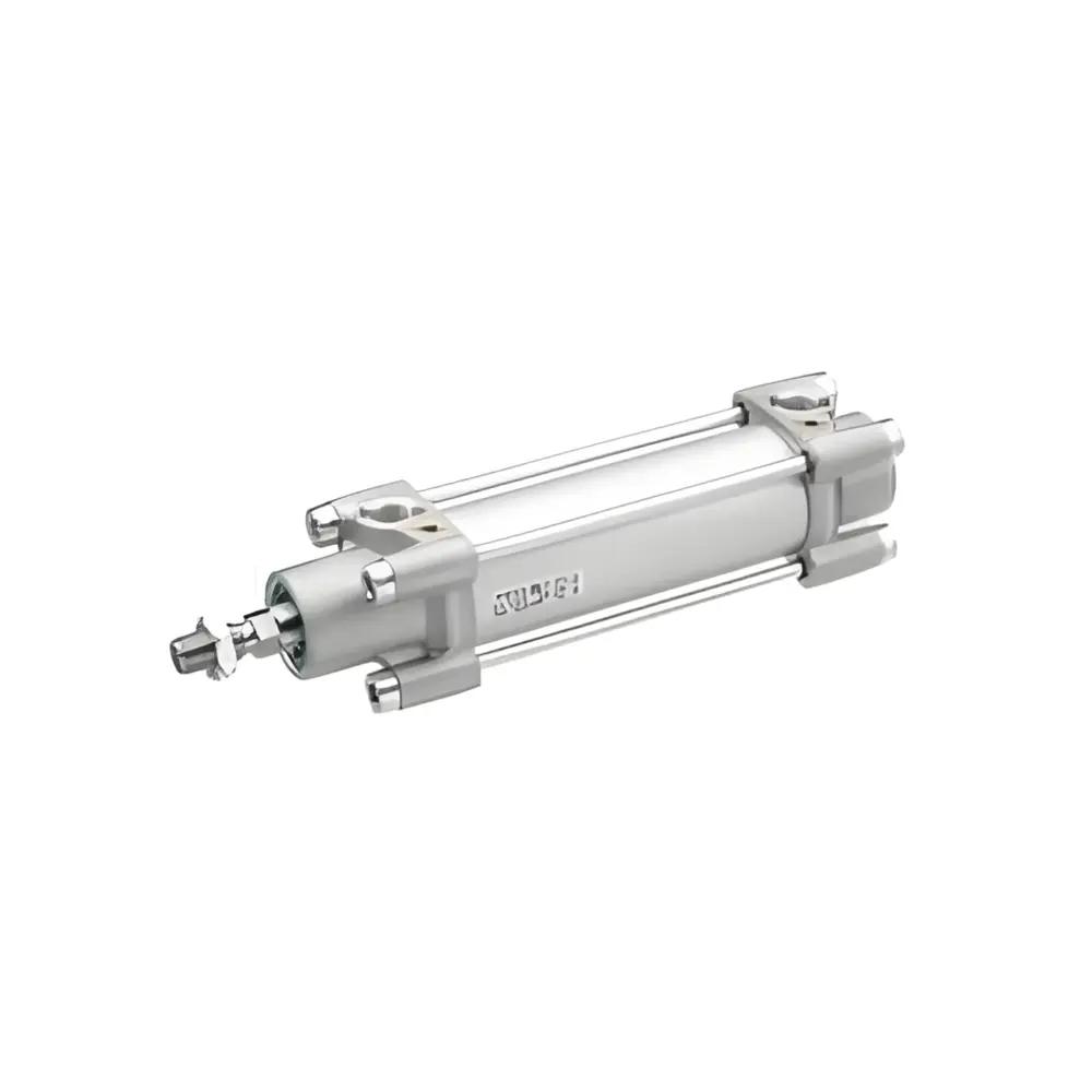 Pneumatic cylinder - TRB-DA-063-0700-0-2-2-1-1-1-BAS