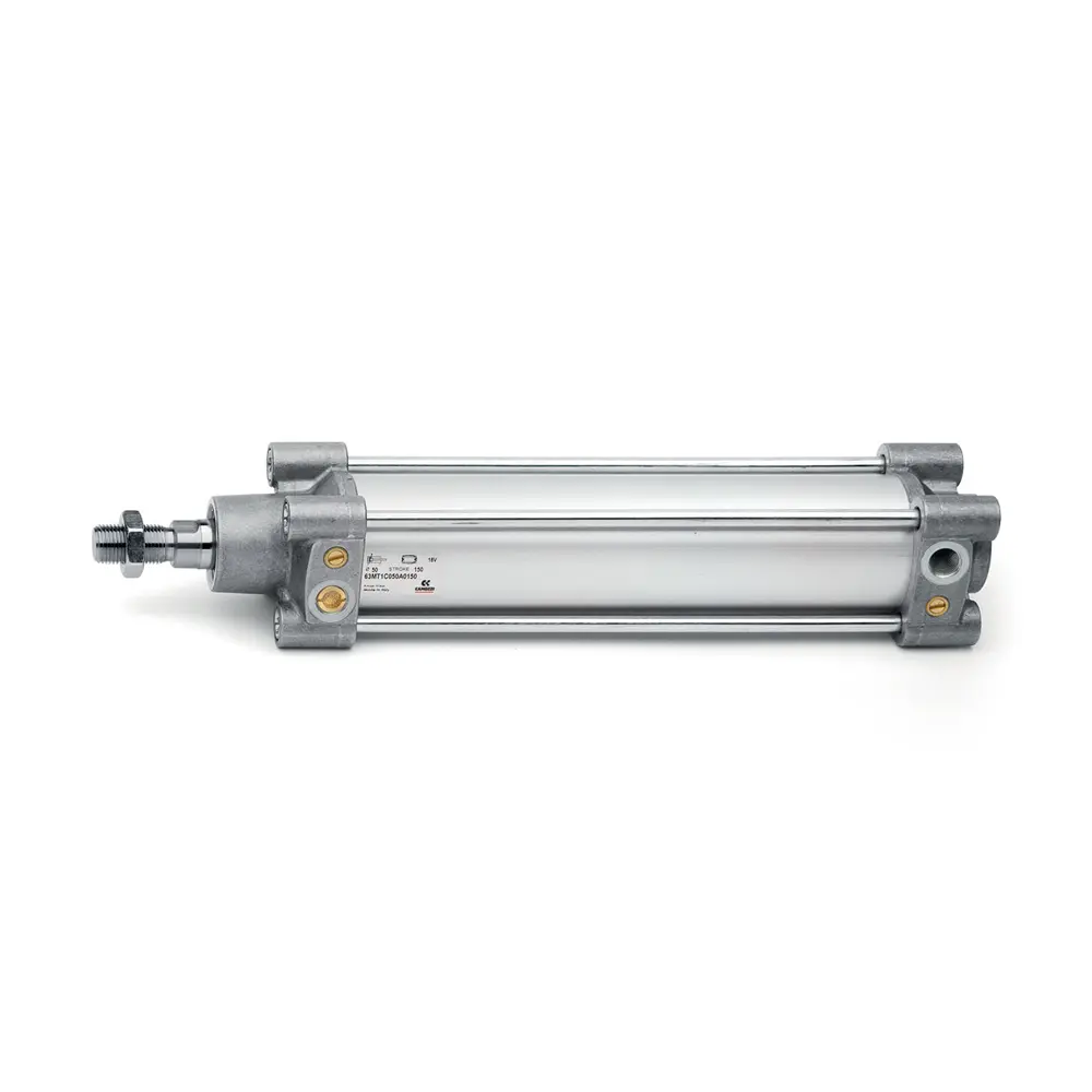 Pneumatic cylinder - 63MT1R063A0075