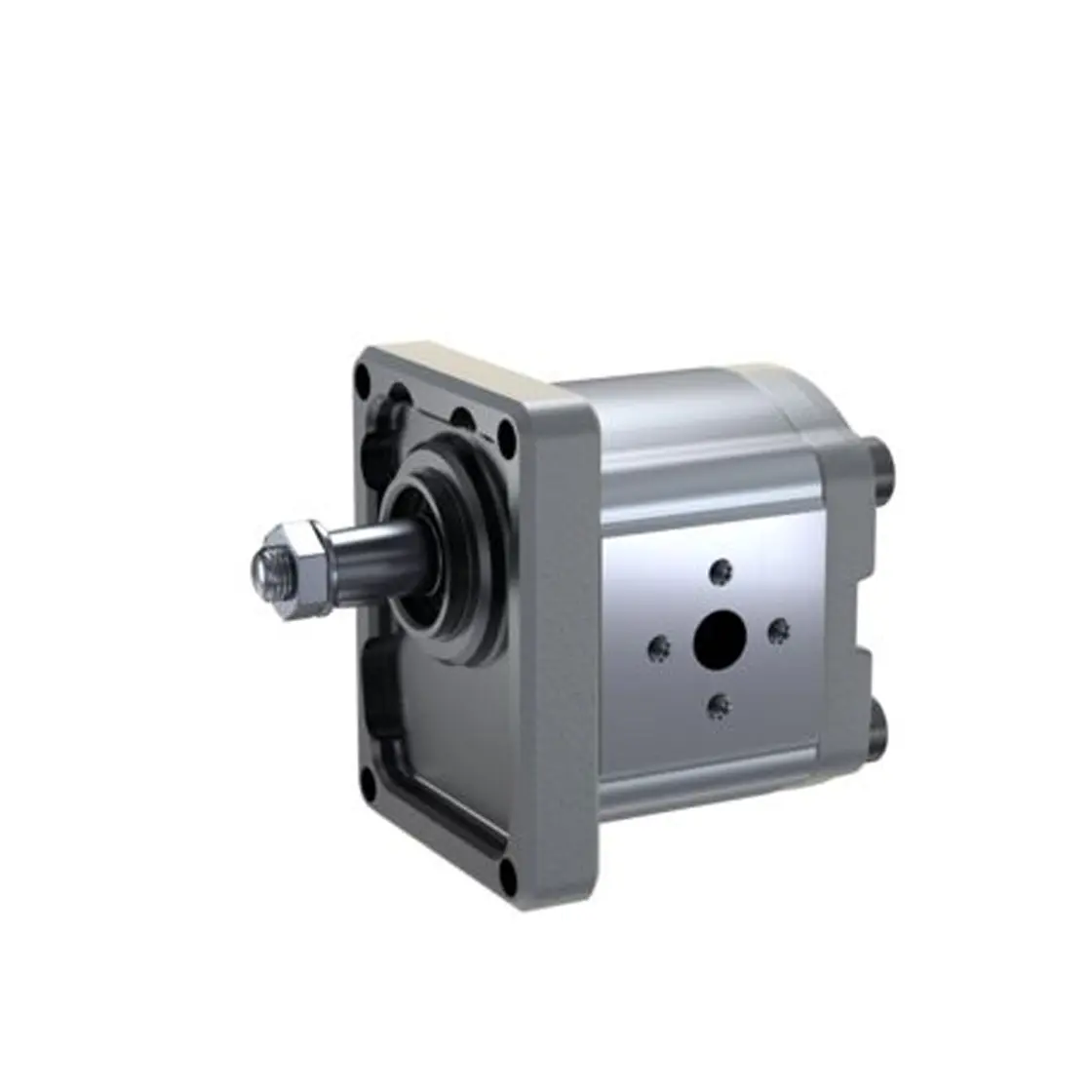 Gearpump - AZPF-12-004RHO30PB