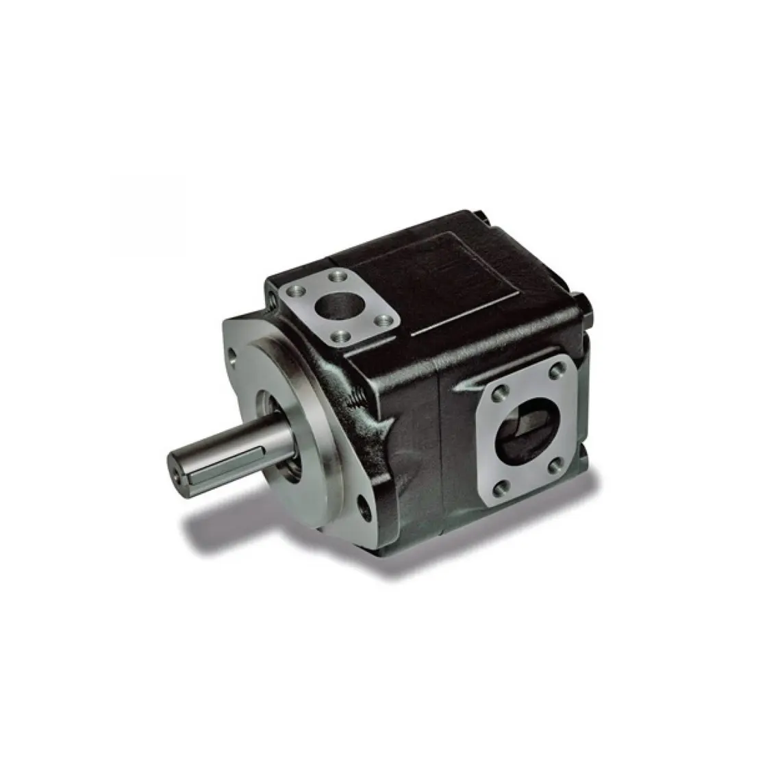 Double vane pump - T6CMY B25 1R00C1  024-45255-0